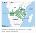 International Day of Forests & World Water Day