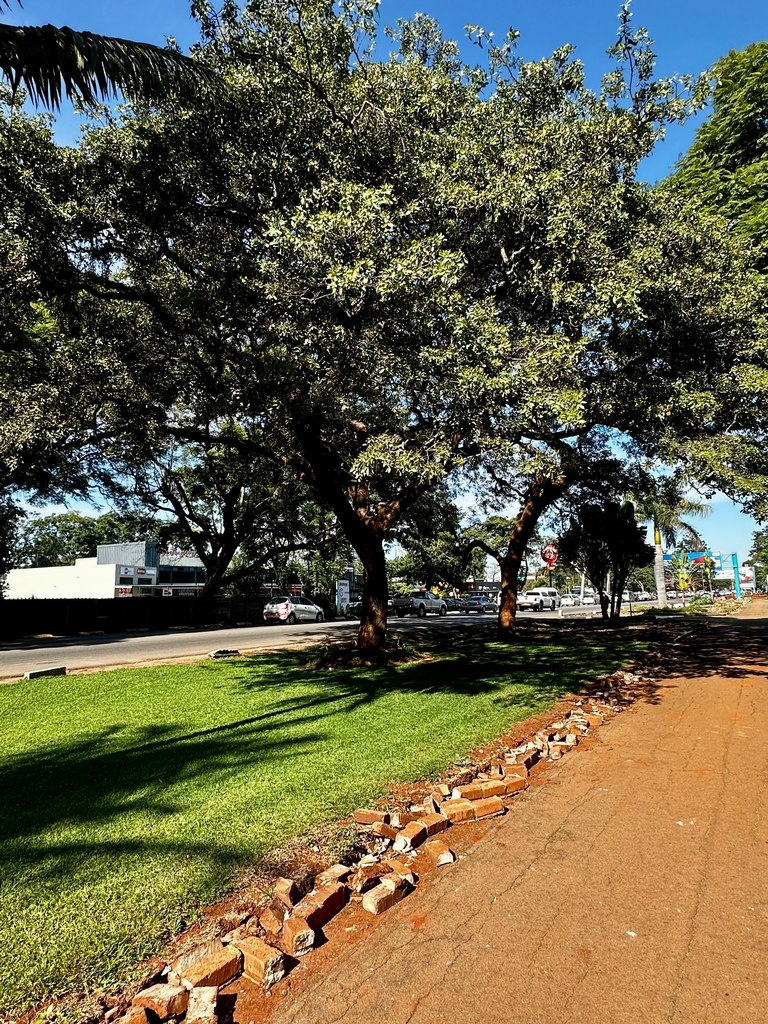 Petition for Ward 7, Harare - ED Mnangwagwa Road (formerly Enterprise Road)